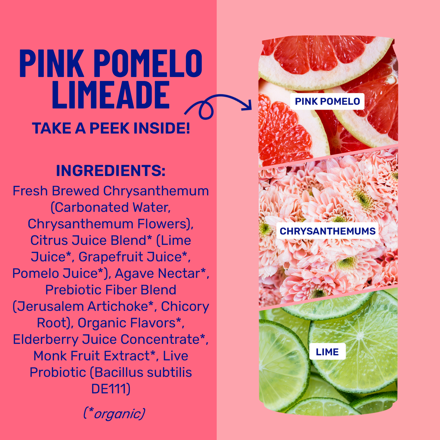 Pink Pomelo Limeade Sparkling Prebiotic + Probiotic Drink
