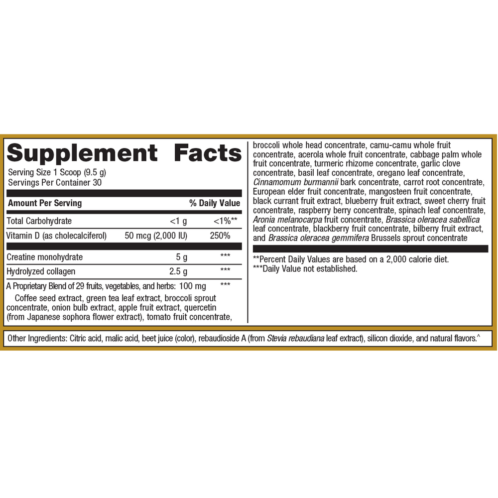 StayStrong+Brain&Body-Collagen & Creatine Powder