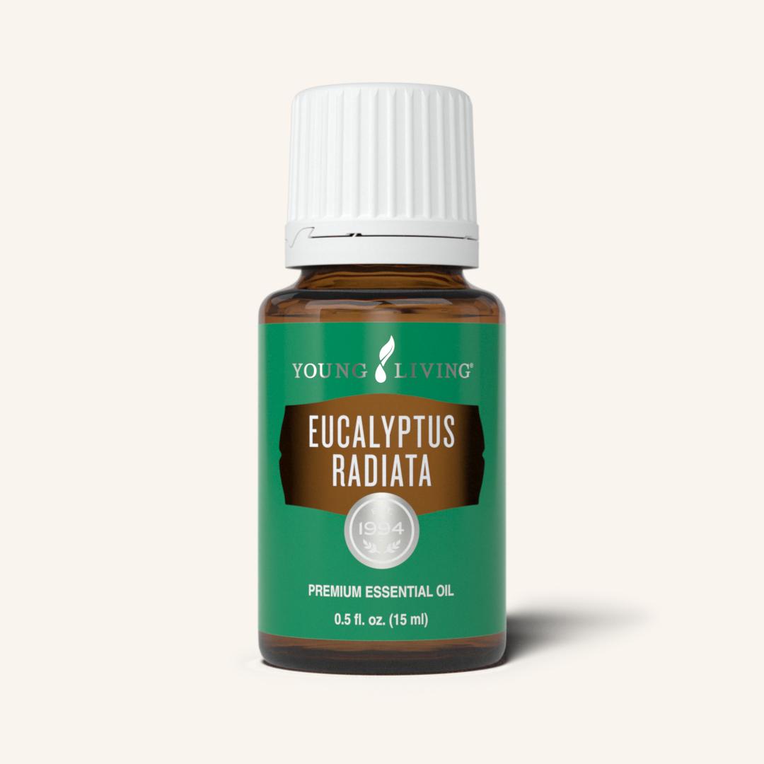 Eucalyptus Radiata YL-15ml