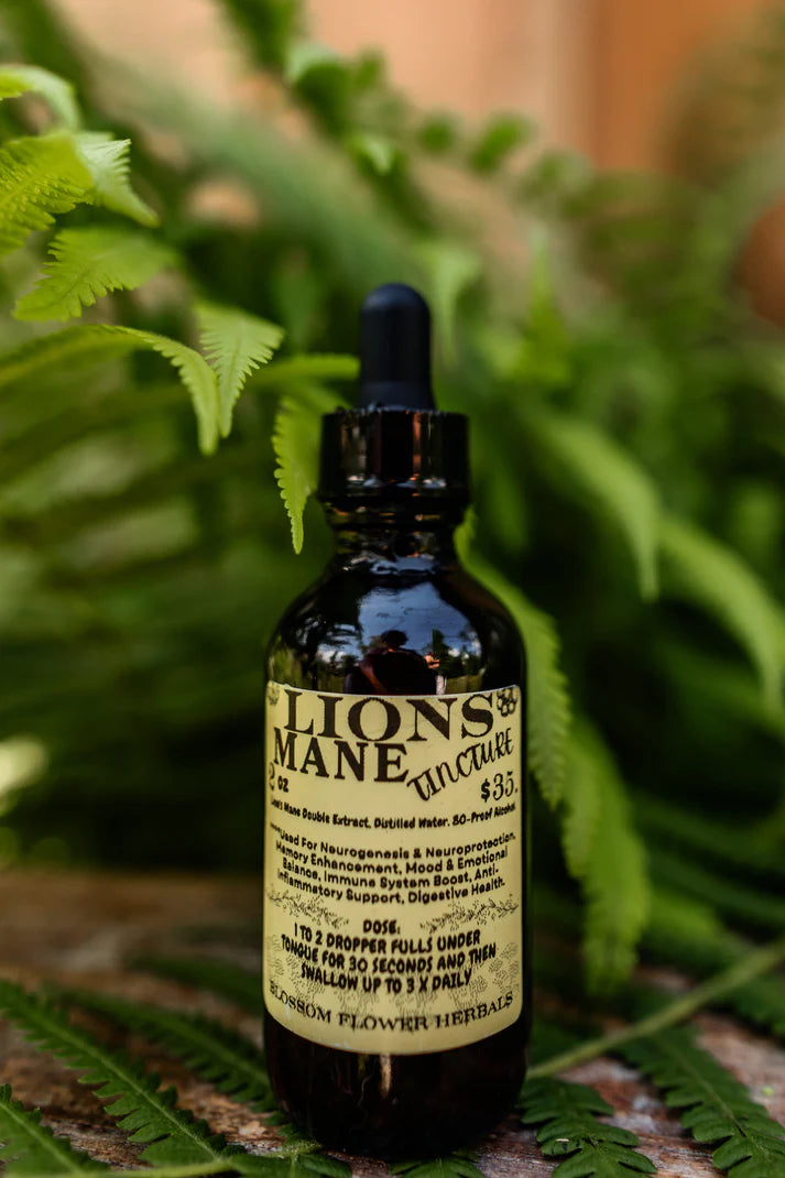 Lion's Mane Tincture