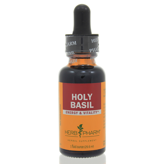 Holy Basil