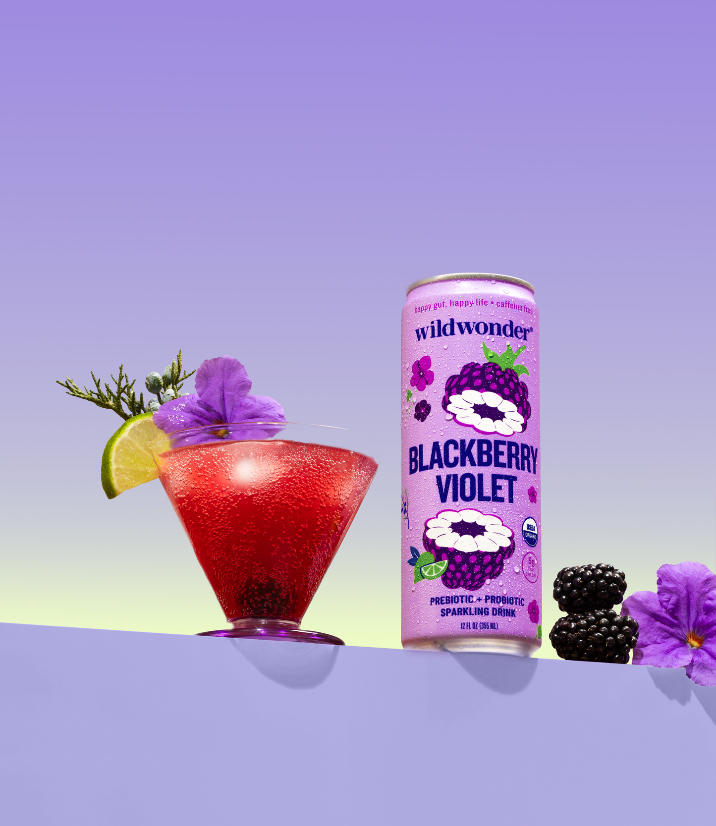 Blackberry Violet Sparkling Prebiotic + Probiotic Drink