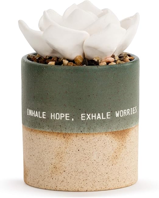Succulent Oil Diffuser - Inhale Exhale – The Road Less Traveled