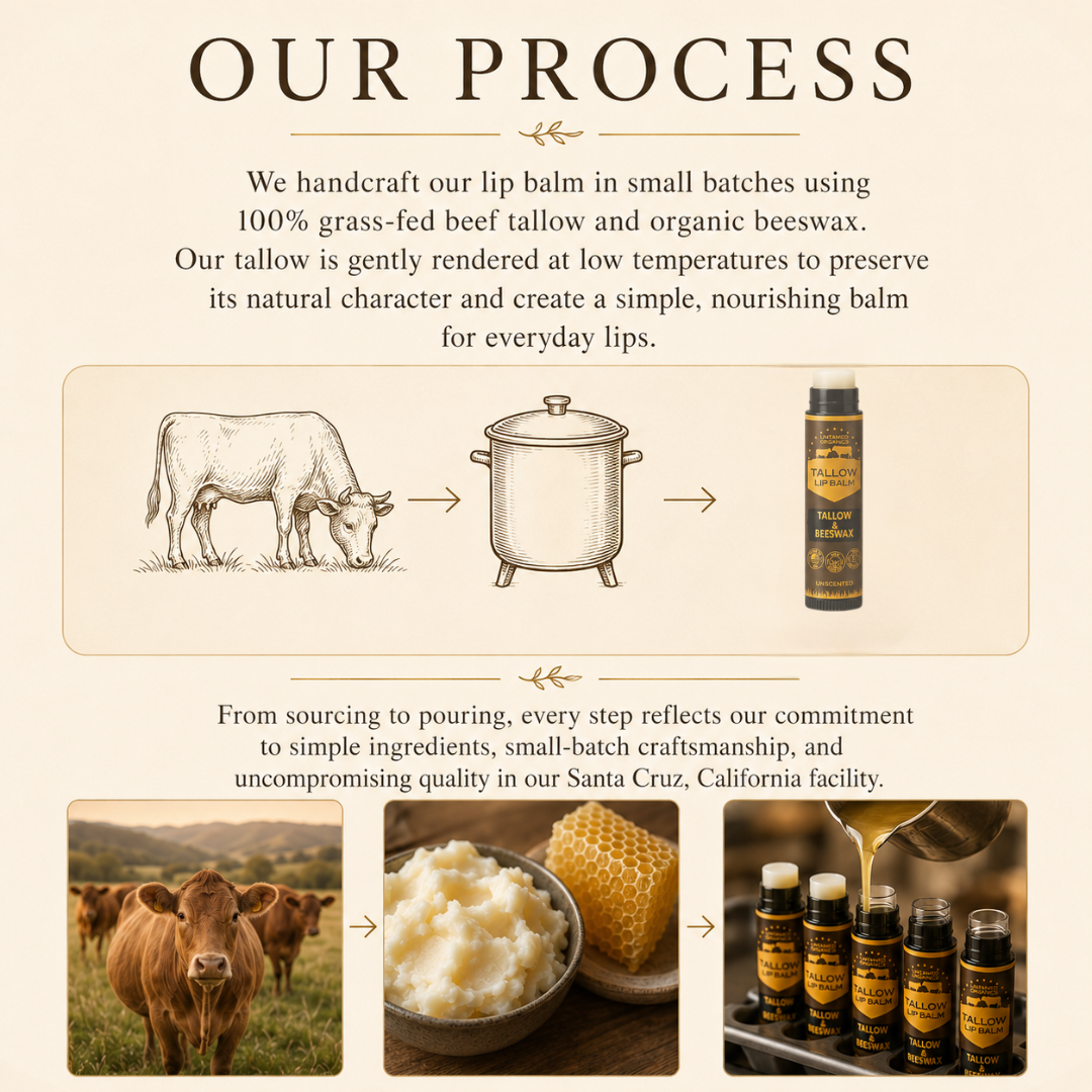 Tallow Manuka Honey & Black Seed Skin Balm - 2 oz