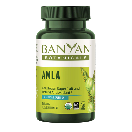 AMLA 90 tablets Banyan Boticals