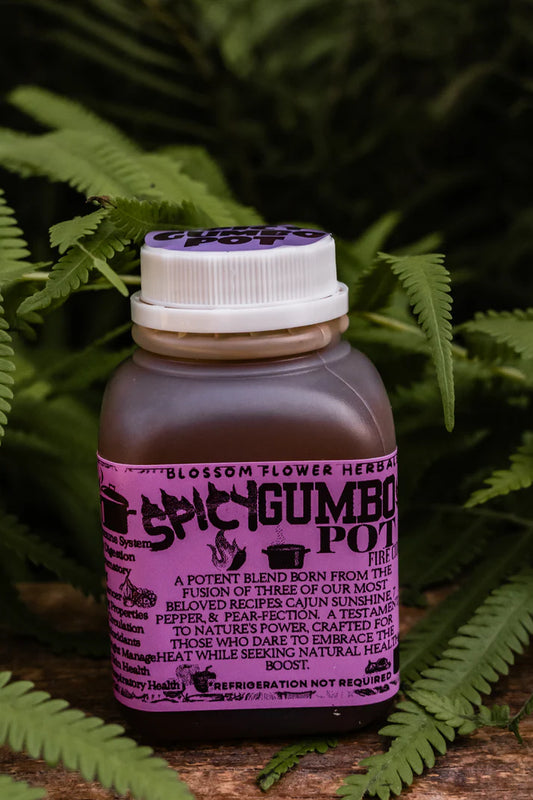 Spicy Gumbo Pot Fire Cider 8oz (48doses)