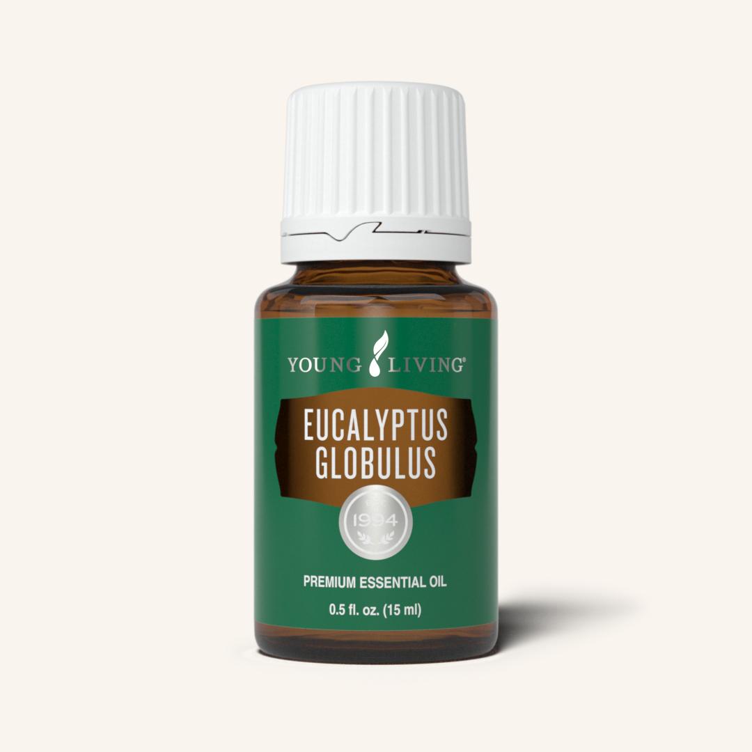 Eucalyptus Globulus YL-15 ml