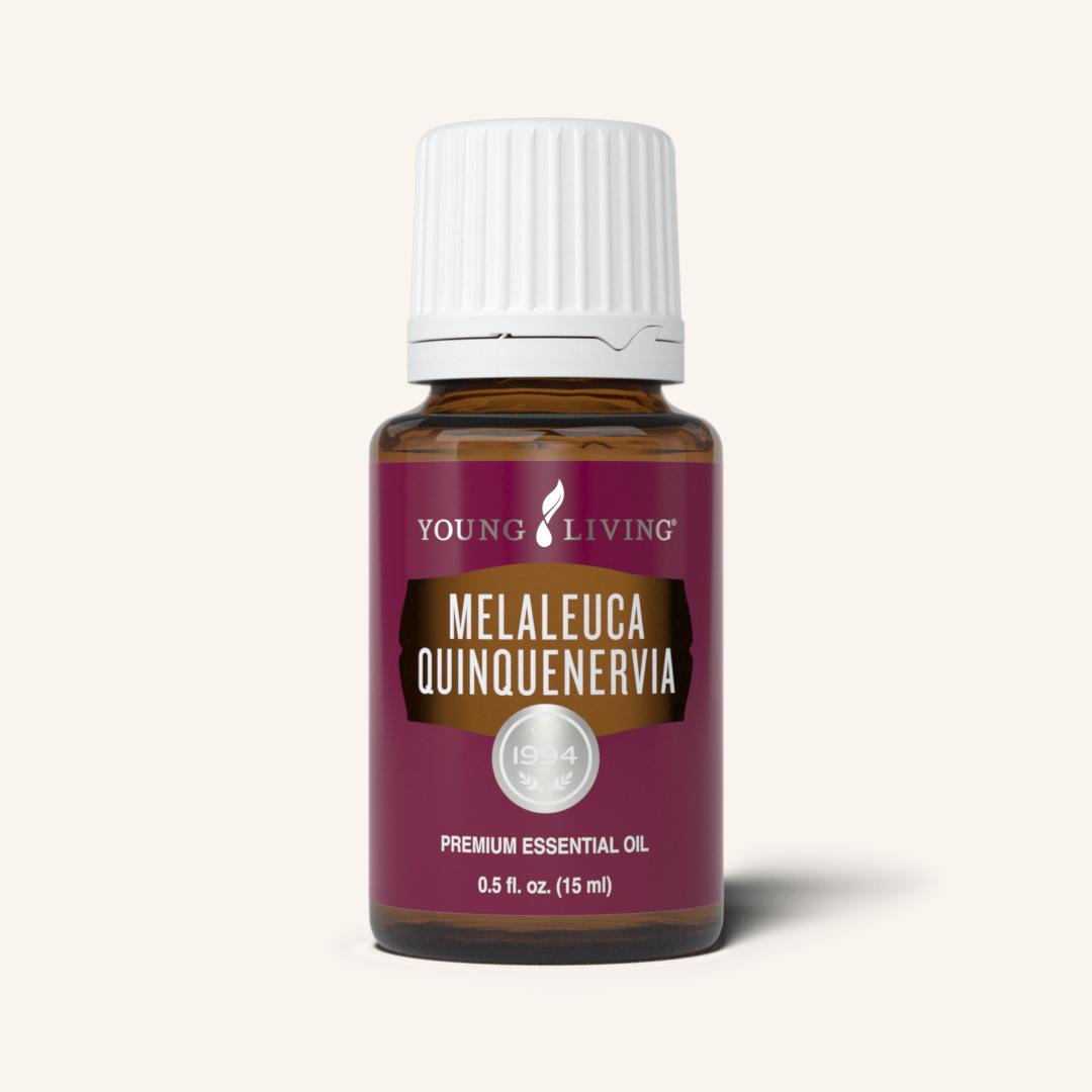 Melaleuca Quinqueneriva E.O.  YL