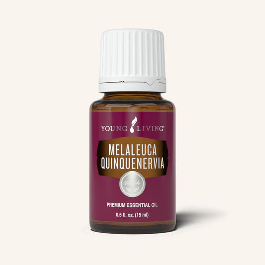 Melaleuca Quinqueneriva E.O.  YL