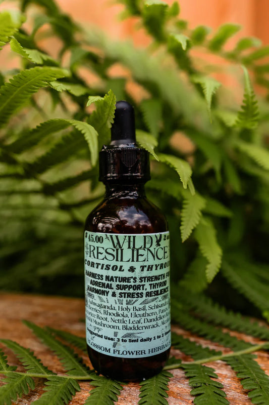 Wild Resilience Tincture