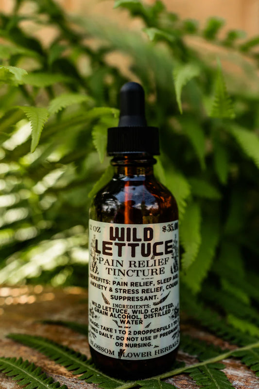 Wild Lettuce Pain Relief Tincture