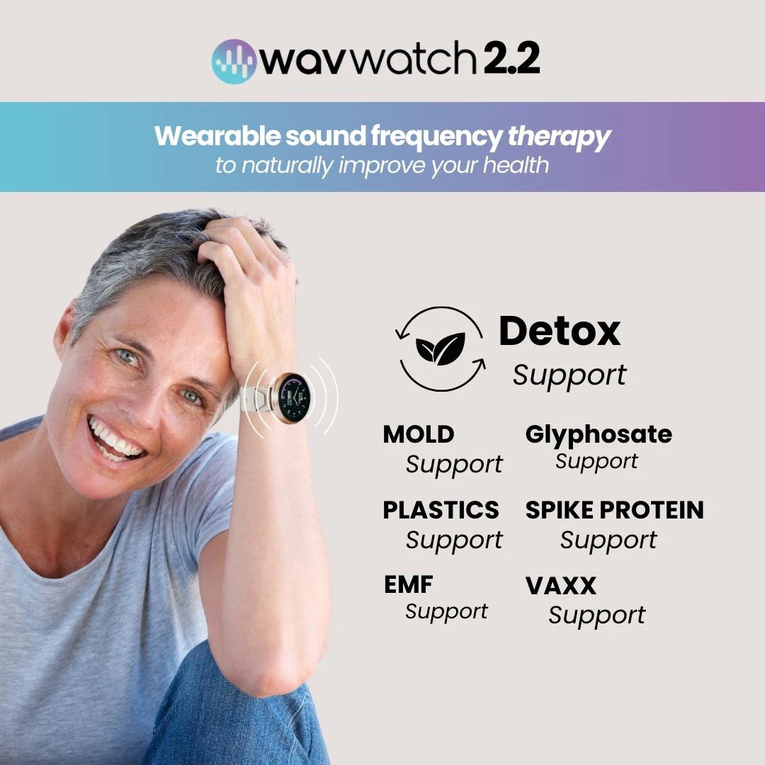 WAV WATCH 2.2 Graphite