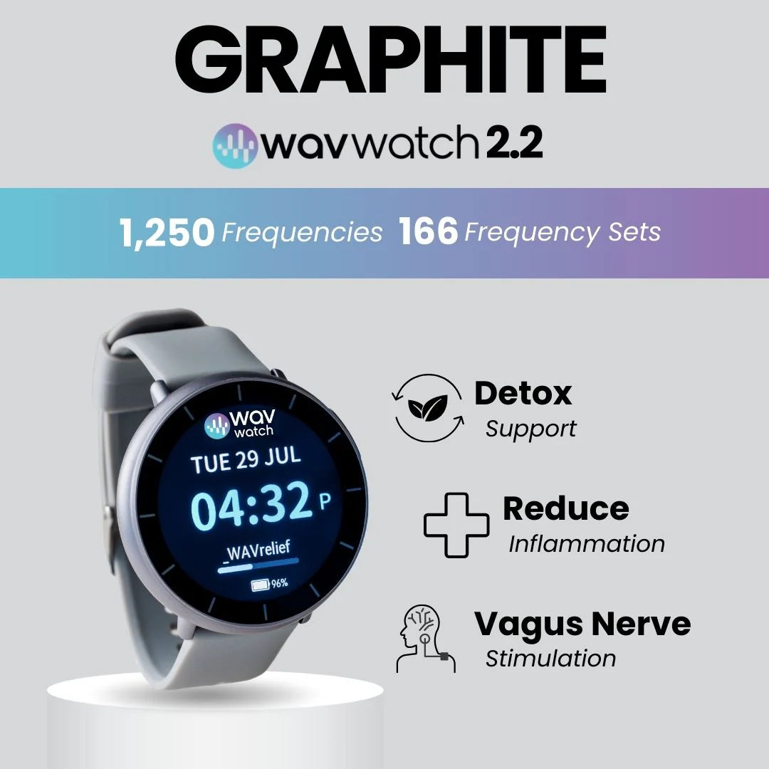 WAV WATCH 2.2 Graphite
