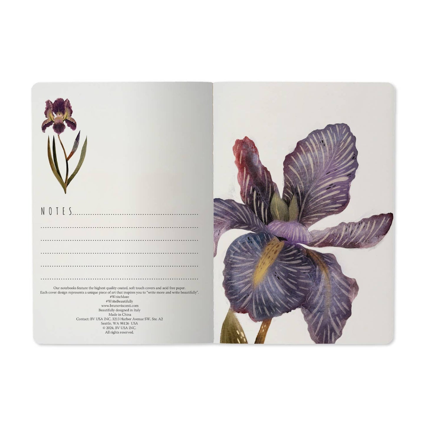 Irises