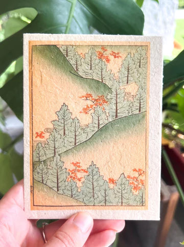 Wildflower Forest Card